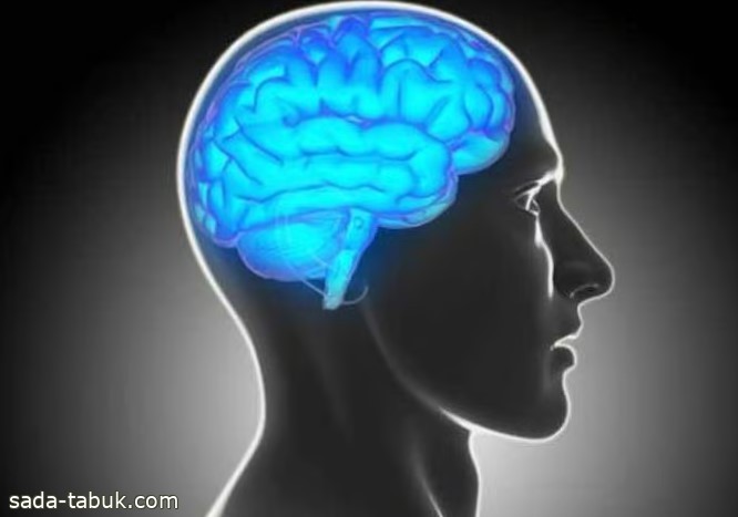 لا للعصبية.. 5 أساليب يبرزها "القصيم الصحي" لتنشيط العقل وتقوية الذاكرة