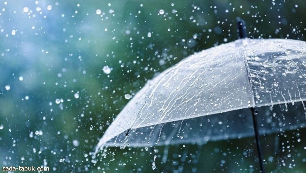 "الأرصاد" يُنبّه 6 مناطق: أمطار خفيفة إلى متوسطة.. وضباب كثيف مع انعدام في الرؤية
