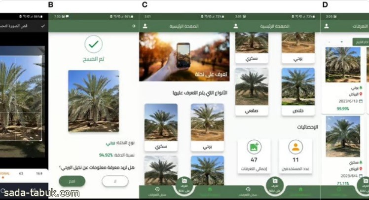 باحثون بجامعة الملك سعود يستخدمون الذكاء الاصطناعي في كشف أسرار النخيل السعودية