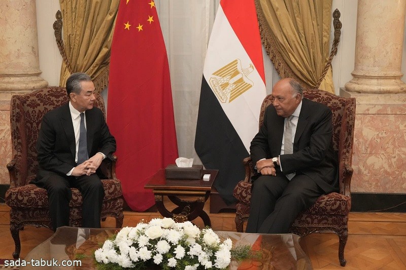 مصر والصين تؤكدان ضرورة وقف إطلاق النار في غزة