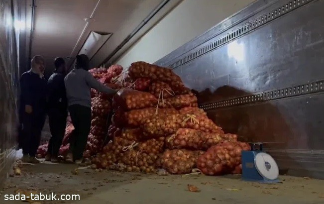 بالفيديو .. تقرير يكشف أسباب ارتفاع أسعار البصل في المملكة