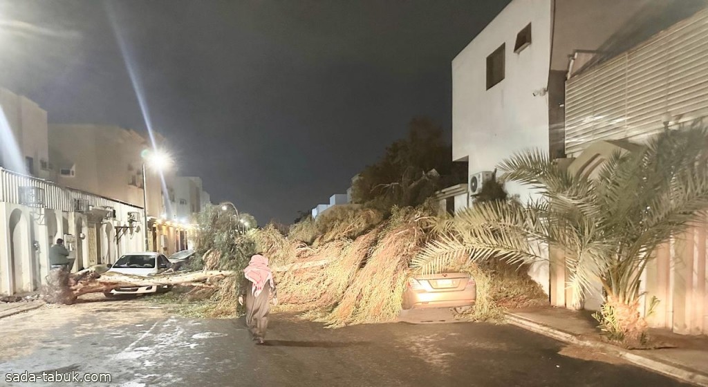 شدة الرياح تتسبب في سقوط شجرة على مركبة في حي الورود بـ تبوك