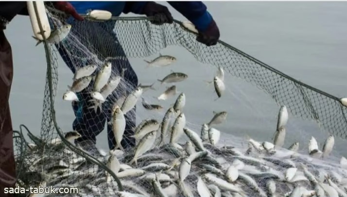 "البيئة" تستثني الصيادين ذوي الدخل المحدود من شروط الحصول على رخص ممارسة الصيد