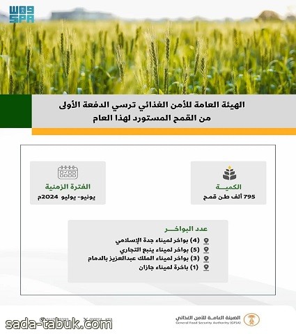 الهيئة العامة للأمن الغذائي ترسي الدفعة الأولى من القمح المستورد هذا العام