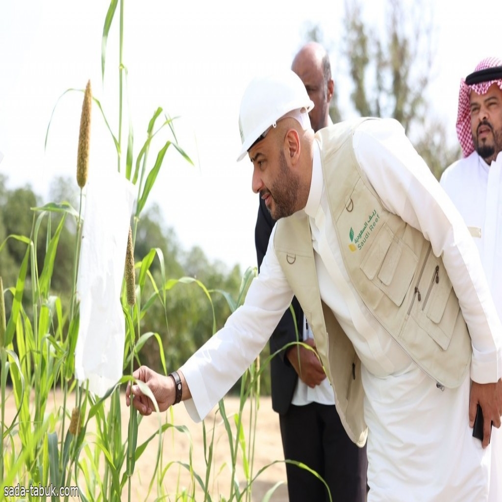 "ريف السعودية": انخفاض تكاليف حصاد المحاصيل البعلية بنسبة 90%