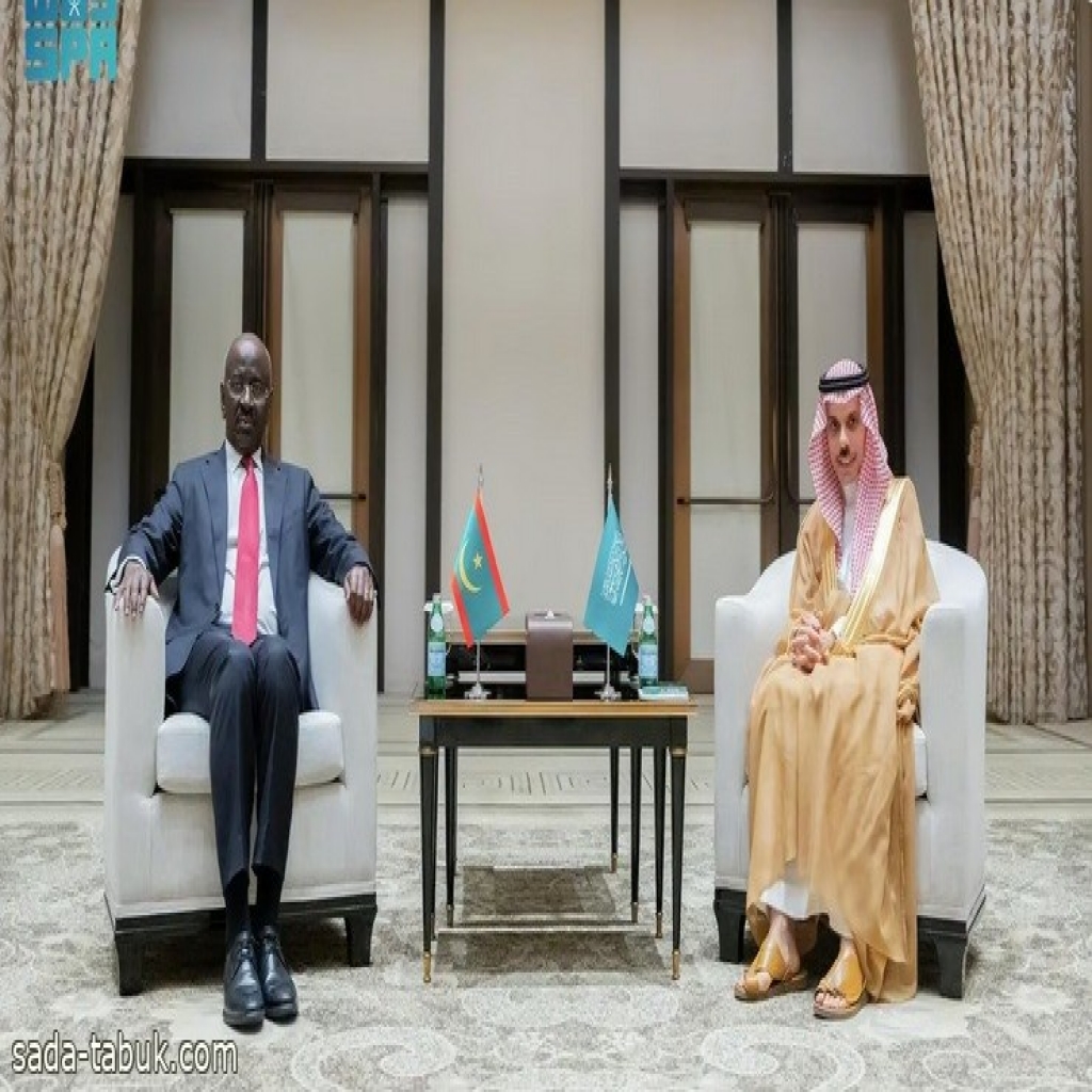وزير الخارجية يناقش مع نظيره الموريتاني المستجدات على الساحتين الإقليمية والدولية