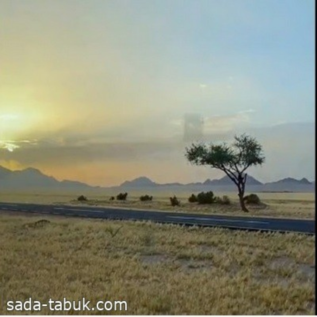 فيديو| المختص في الطقس "زياد الجهني": الأصل في الجزيرة العربية أن أعشابها وأشجارها شبيهة بالسافانا الأفريقية