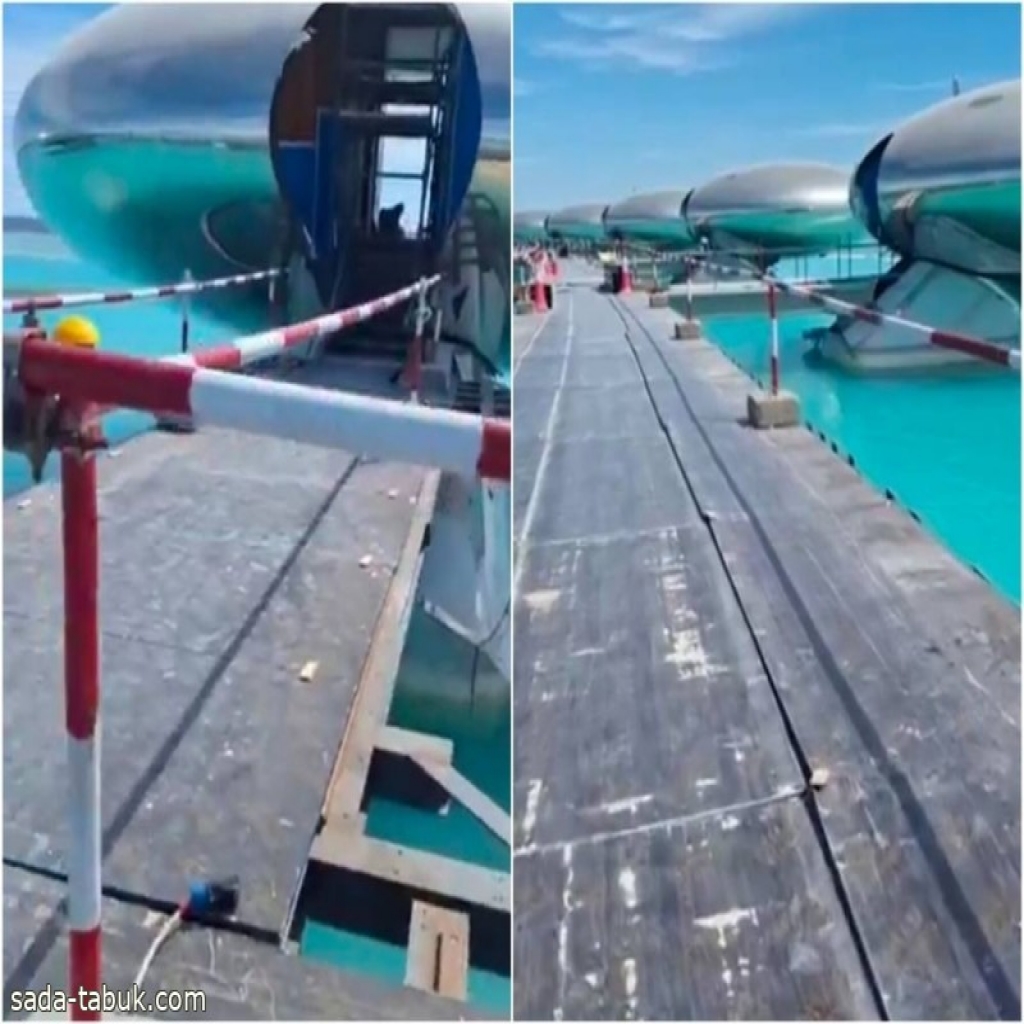 فيديو| أحدث ظهور لـ"الفلل العائمة" في جزيرة شيبارة بـ"البحر الأحمر" في تبوك